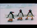 Pingu English New Episodes 13