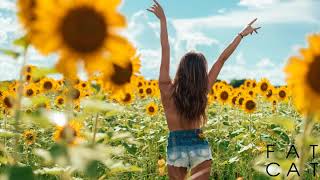 Campsite Dream – Little Do You Know| Lyric