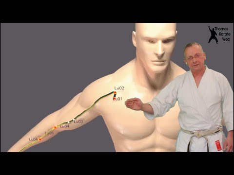 Kyusho Jitsu - Lungenmeridian