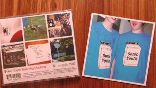 sonic youth panty lies