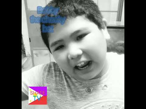 Bobby the cheeky bat