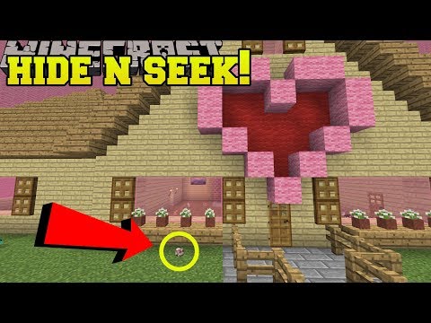 EPIC Hamster Hide and Seek in Minecraft!