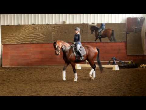 Benetton Hit - Benetton Dream / Sandro Hit