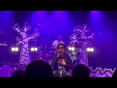 BUHOS- T'he trobat a faltar ( Vilassar de Dalt 30/04/2023 )