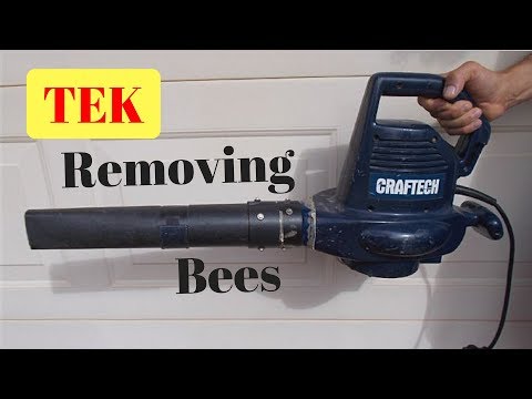2.2 Removing the "bees" from supers