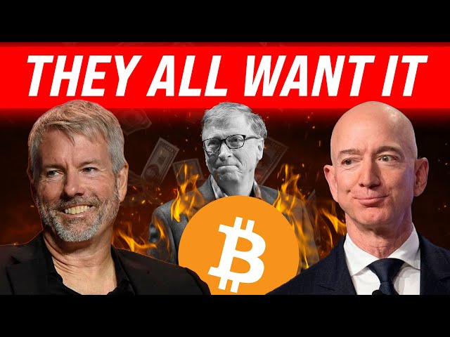 Lark Davis – Bitcoin’s Tsunami Of Public Company MONEY [Shocking Reality] (23.12.2024 Summary)