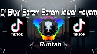 Download lagu Dj Biwir Berem Berem Jawer Hayam - Runtah mp3