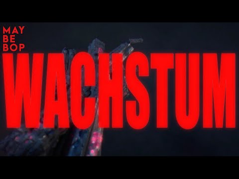 Wachstum - MAYBEBOP - LYRICS VIDEO