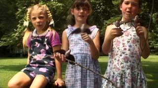 One Little Brown Bird-Cedarmont Kids