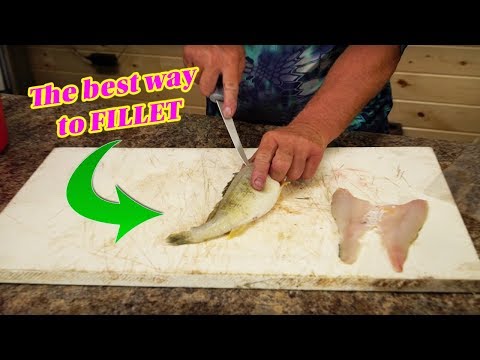 How to Clean a Perch (Perfect FILLET)