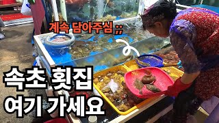 속초 현지인들이 절대 안알려주는 가성비 지리는 속초횟집 4곳