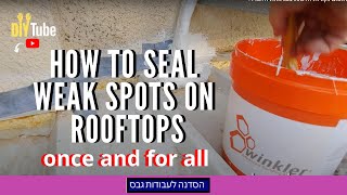 כיצד לאטום נקודות תורפה בגגות אחת ולתמיד
