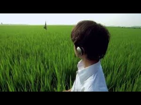 whiskey tango foxtrot? lima oscar lima (best part looped)