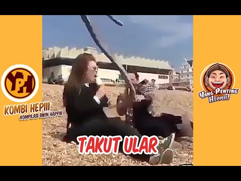 kombi-heppiii-takut-ular-1