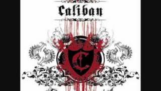 I See the Falling Sky w/lyrics