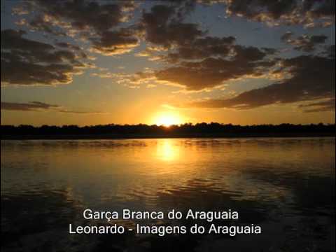 Garça branca do Araguaia