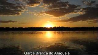 Garça branca do Araguaia Music Video