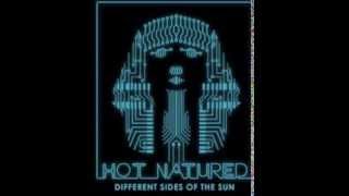 Hot Natured - Alternate State feat. Roisin Murphy