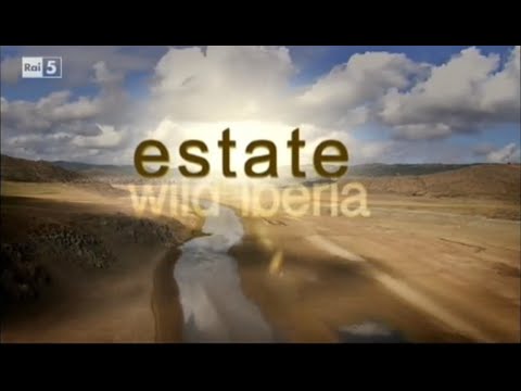 Wild Iberia 02. estate