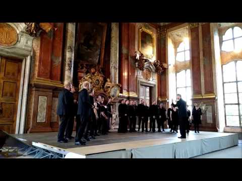 Linz 2017 - Qoro Quando