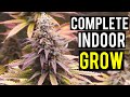 Seed To Harvest: A Complete Indoor Cannabis Grow