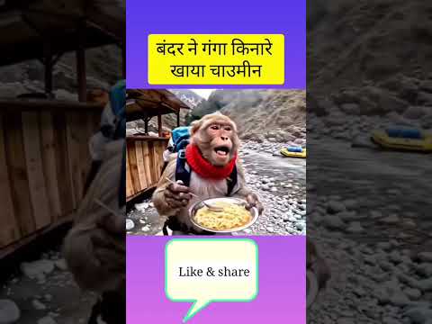 #viralvideo #comedy #comedy #ganga #monkey #youtubeshorts #youtubechannel #youtubevideo