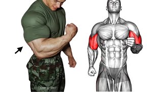 14 Biceps Exercises for Massive Size in Biceps