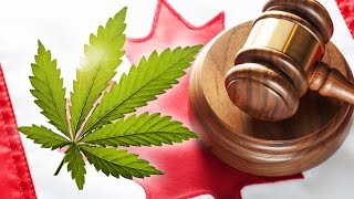 Marijuana Laws in Canada: What Do They Mean? by Pot TV