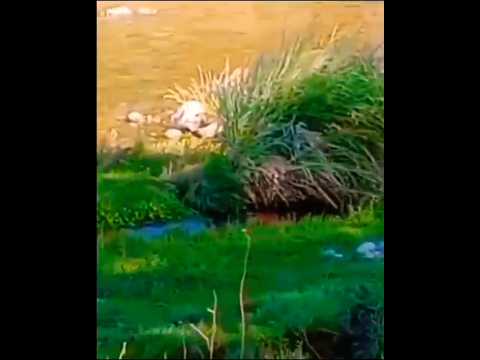 Río Panaholma, Cura Brochero, Córdoba, Argentina.#curabrochero