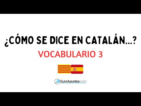 ¿Cómo Se Dice En Catalán...? Vocabulari 3