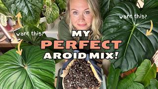The Only Aroid Potting Mix I’ll Ever Use!