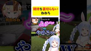 期待を裏切らないねねち