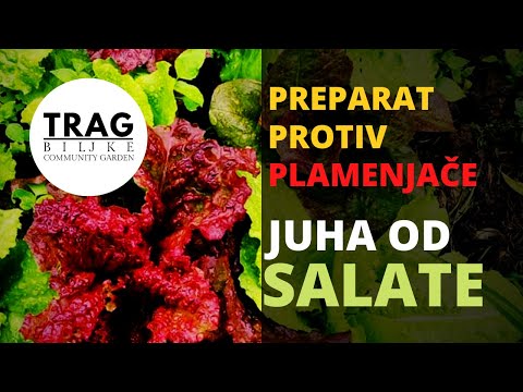 PREPARAT PROTIV PLAMENJAČE (2021) [TRAG BILJKE]