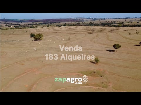 183 Alqueires em Guzolândia - SP