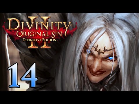 Divinity Original Sin 2 - Part 14 - (Lonewolf - Multiplayer with Aavak)