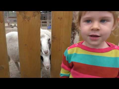Eisenbahnmuseum Strasshof / Erlebnispark Gänserndorf 2.10.2016