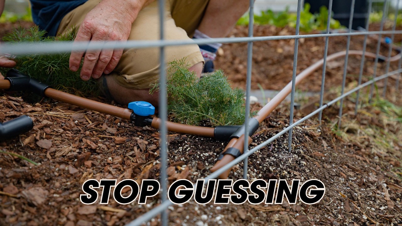 Drip Irrigation for Vegetable Rows: Pressure, Flow, and Layout