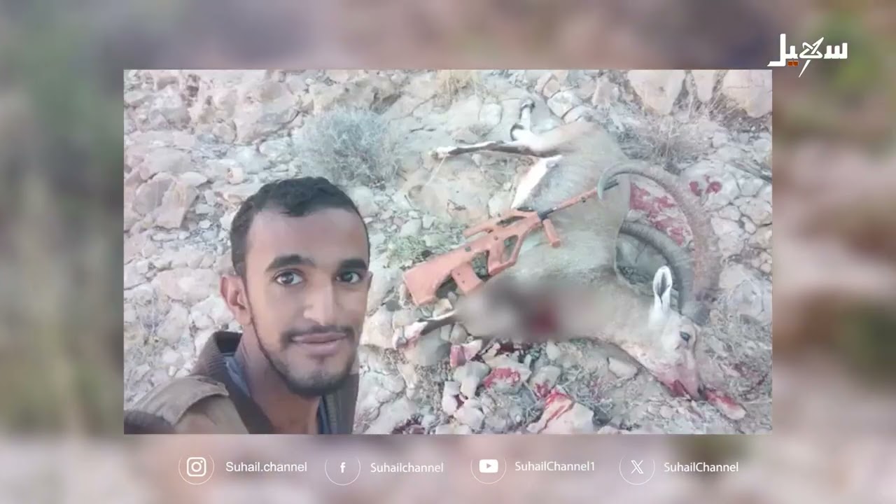 أضواء سهيل  ( سلسلة تقارير منوعة من ربوع اليمن ) 9-1-2026