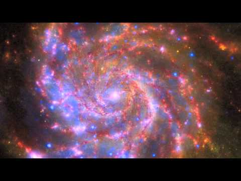 Sophisticated Ignorance