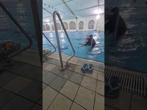 24 февраля 2022 г.