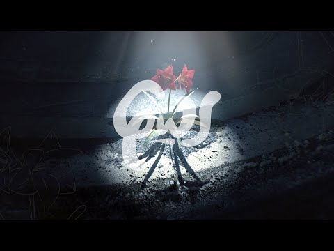 Σπείρα & ΚΚ - Φως