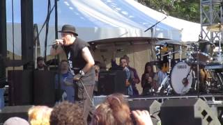 Dead Milkmen Tacoland Riot Fest Chicago 2015