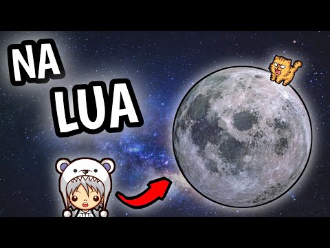 CHEGAMOS NA LUA    /    NAMELLES CAT