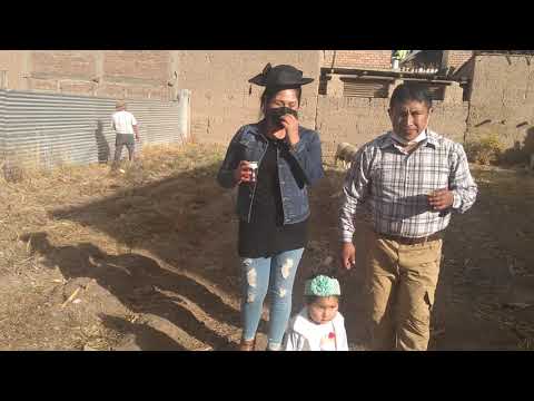 Ricardo Trujillo y su violín mágico shacatan purito auqimarca 2021