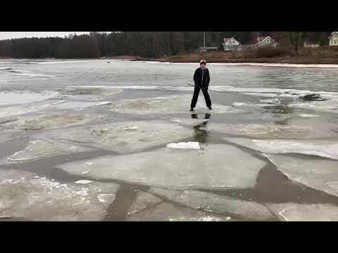 Stor fet tjockis ramlar igenom isen