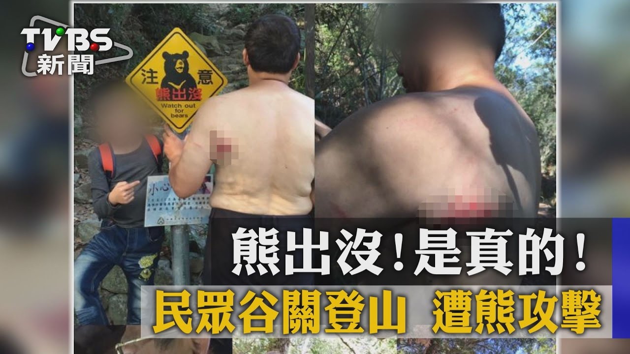 熊出沒是真的!民眾谷關登山 遭熊攻擊