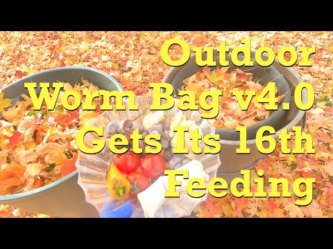 Outdoor worm bag v4, last fed 2 weeks ago, on day 212 - vermicompost