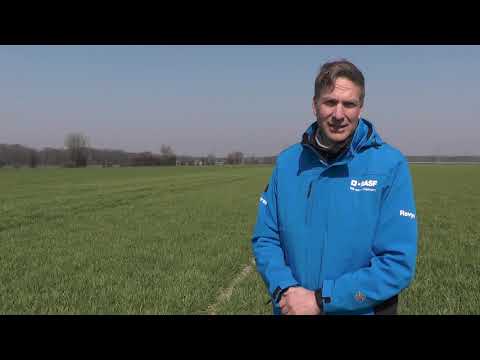 Empfehlungen zum PRODAX Einsatz in Wintergerste!