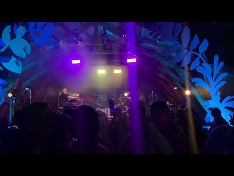 Jimpster Live feat Andy Gangadeen At We Out Here 2022 (Clips)