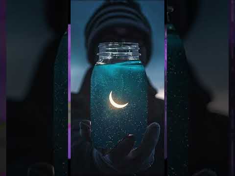 Ante M x DAVED - Kenzo